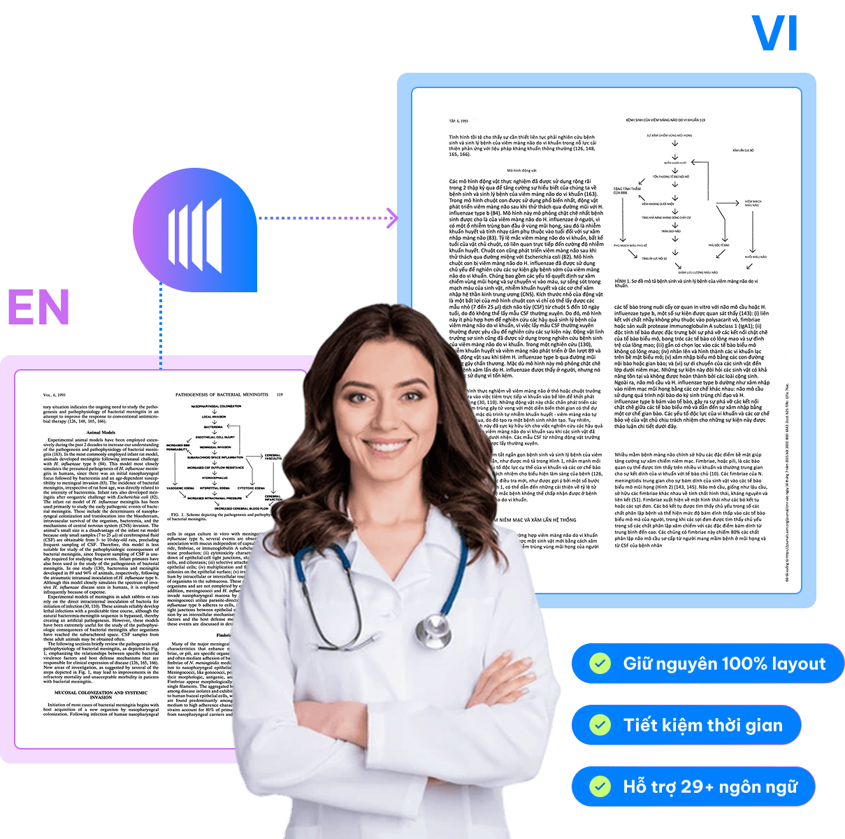 Doctranslate medical translation interface